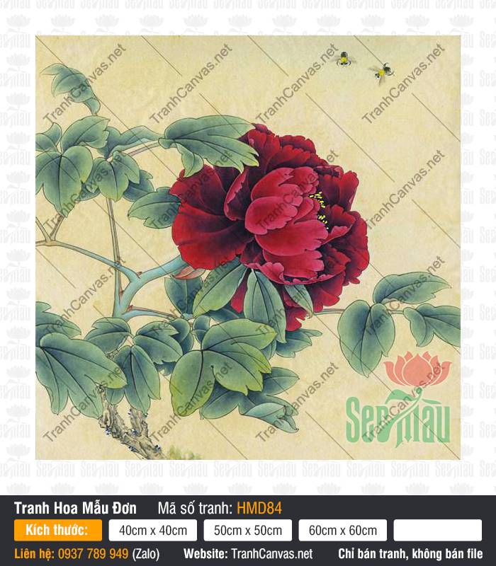 Tranh Hoa Mẫu Đơn Đỏ Đẹp HMD84, Hình Hoa Mẫu Đơn, Tranh Hoa Mẫu Đơn, Tranh Canvas Treo Tường