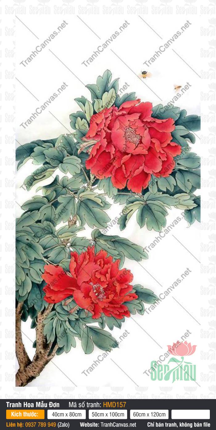 Tranh Hoa Mẫu Đơn HMD157, Tranh Vẽ Hoa Mẫu Đơn Đẹp, In Tranh Canvas Chất Lượng Cao