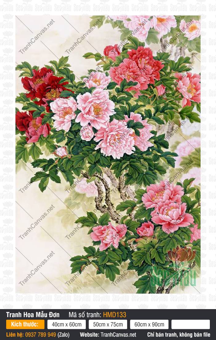 Tranh Hoa Mẫu Đơn Hiện Đại HMD133, Hình Hoa Mẫu Đơn, Tranh Hoa Mẫu Đơn, Tranh Canvas Không Khung