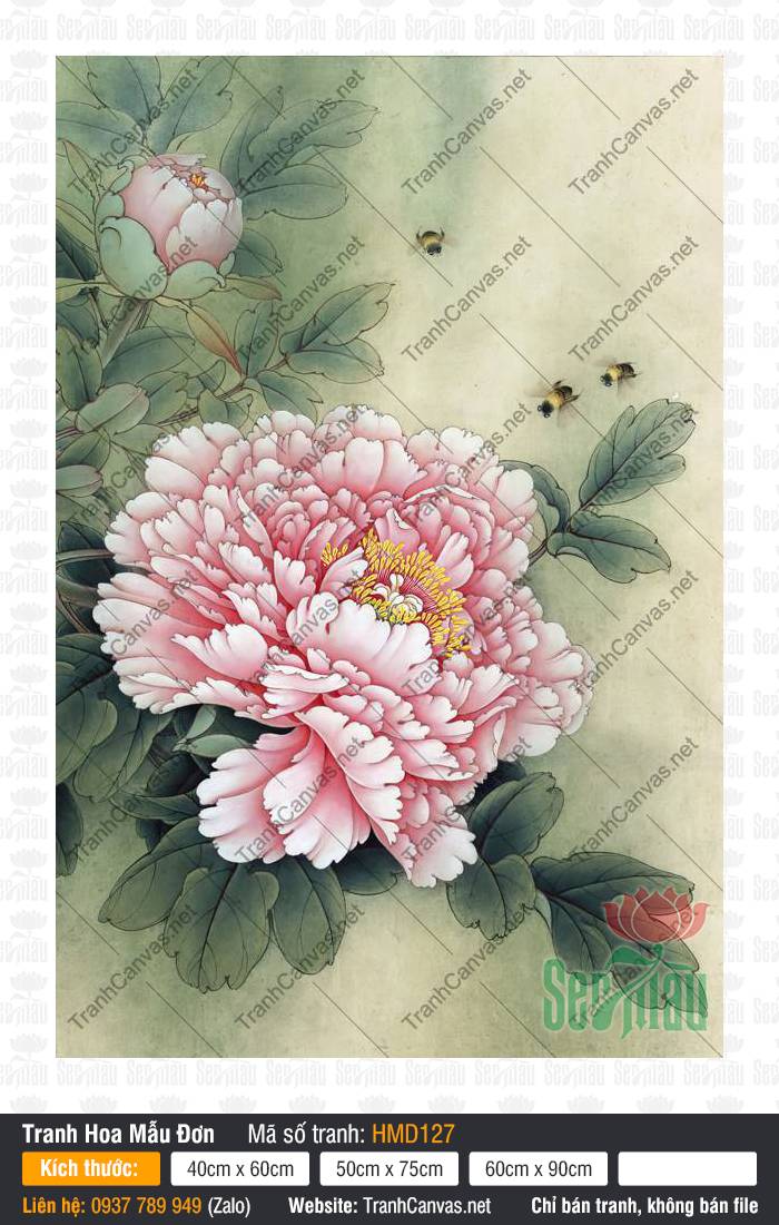 Tranh Hoa Mẫu Đơn Hồng Đẹp HMD127, Hình Hoa Mẫu Đơn, Tranh Hoa Mẫu Đơn, Tranh Canvas Size Lớn