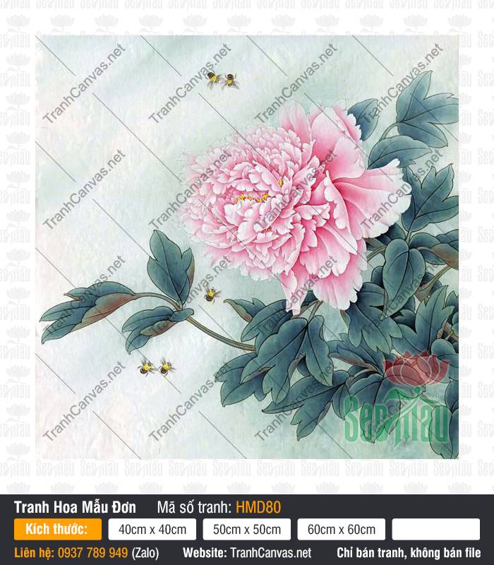 Tranh Hoa Mẫu Đơn May Mắn HMD80, Hình Hoa Mẫu Đơn, Tranh Hoa Mẫu Đơn, Tranh Canvas Trang Trí Phòng Khách