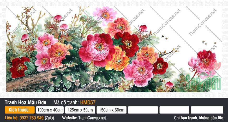 Tranh Hoa Mẫu Đơn Phòng Khách HMD57, Tranh Hoa Mẫu Đơn Phong Thủy, Tranh Hoa Mẫu Đơn, Nhận In Tranh Canvas