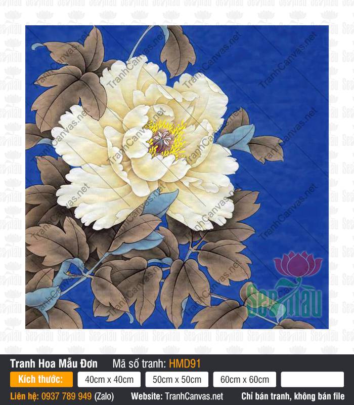 Tranh Hoa Mẫu Đơn Trắng Đẹp HMD91, Hình Hoa Mẫu Đơn, Tranh Hoa Mẫu Đơn, Xưởng In Tranh Canvas