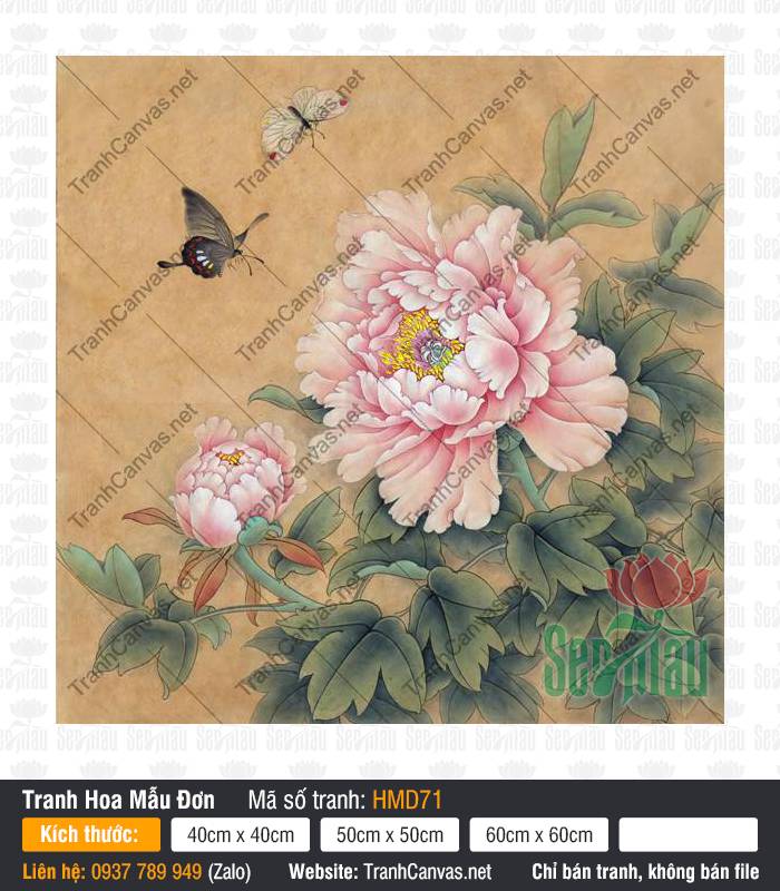 Tranh Hoa Mẫu Đơn Treo Phòng Khách HMD71, Hình Hoa Mẫu Đơn Đẹp Nhất, Tranh Hoa Mẫu Đơn, Tranh Canvas TPHCM