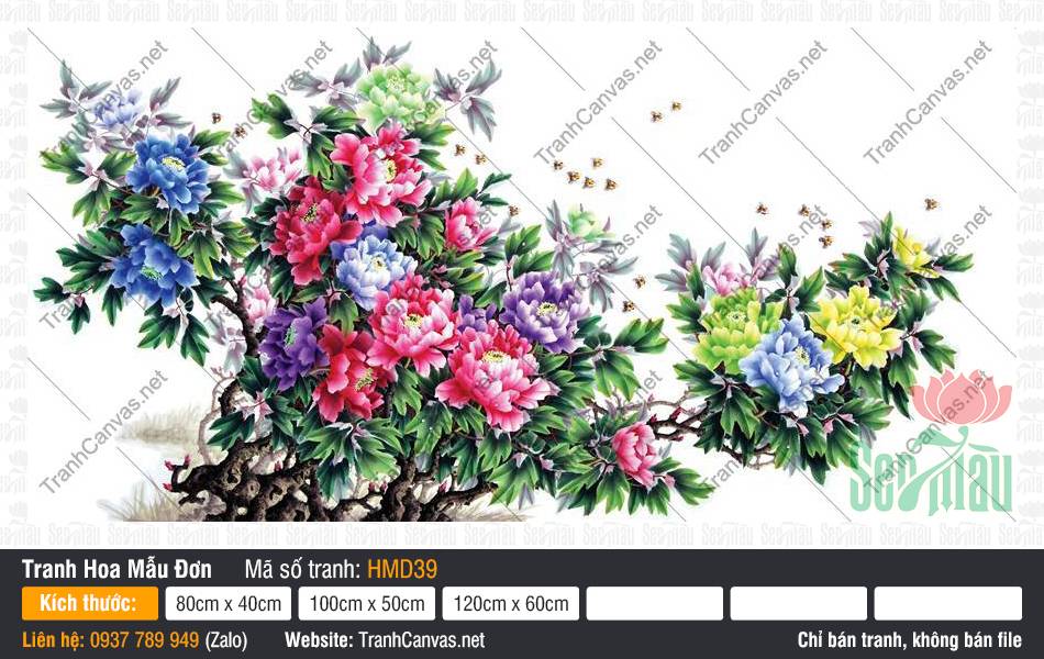 Tranh Vẽ Hoa Mẫu Đơn Đẹp HMD39, Tranh Hoa Mẫu Đơn, Dịch Vụ In Tranh Canvas