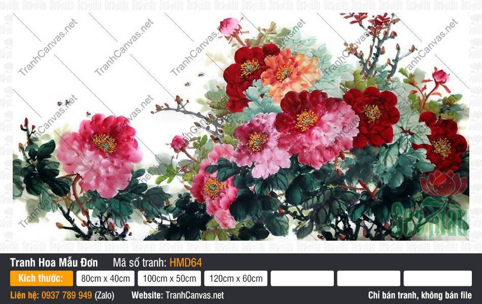 Tranh Vẽ Hoa Mẫu Đơn Đẹp HMD64, Hình Hoa Mẫu Đơn, Tranh Hoa Mẫu Đơn, Tranh In Canvas