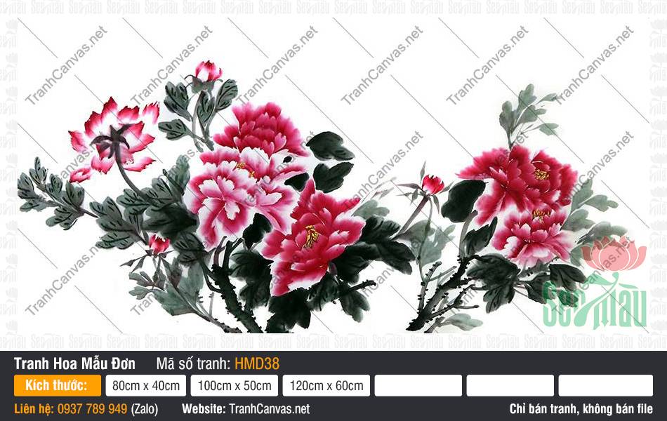 Tranh Vẽ Hoa Mẫu Đơn HMD38, Tranh in Hoa Mẫu Đơn, Tranh Hoa Mẫu Đơn, Tranh Canvas Lớn