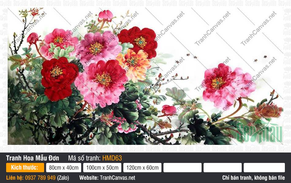 Tranh Vẽ Hoa Mẫu Đơn HMD63, Hình Hoa Mẫu Đơn Đẹp, Tranh Hoa Mẫu Đơn, Tranh Canvas Khổ To