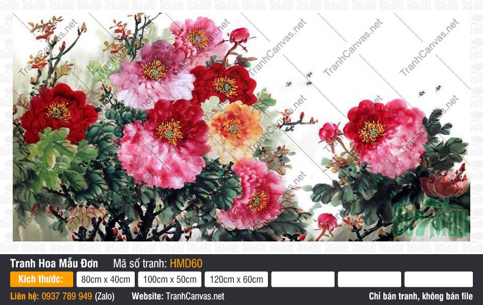 Tranh in Hoa Mẫu Đơn HMD60, Hình Vẽ Hoa Mẫu Đơn Đẹp, Tranh Hoa Mẫu Đơn, Tranh Canvas HCM