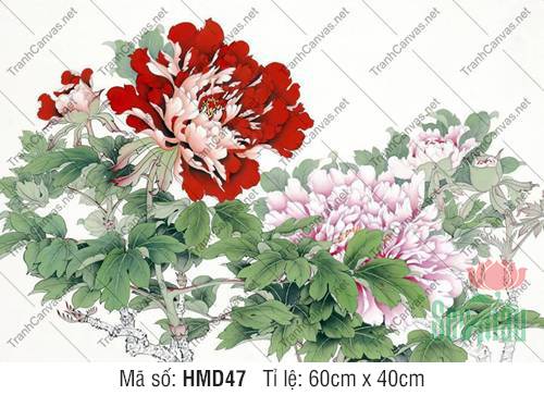 Bức Tranh Hoa Mẫu Đơn HMD47, Tranh Mẫu Đơn Phú Quý