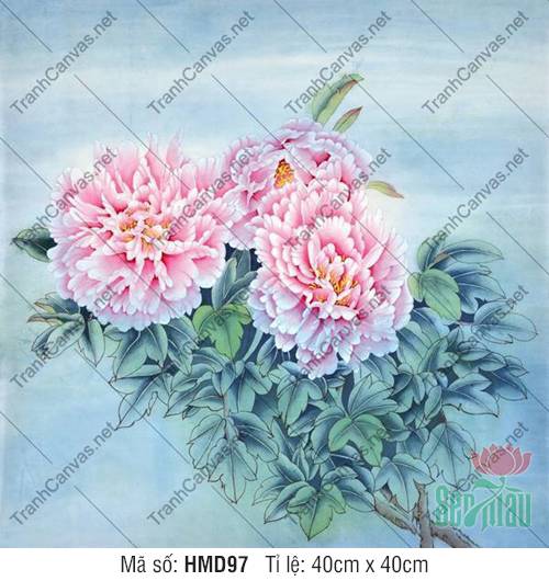 Hình Ảnh Hoa Mẫu Đơn Hồng HMD97, Tranh Hoa Mẫu Đơn