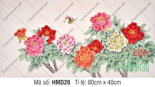 Hình Ảnh Hoa Mẫu Đơn May Mắn HMD20, Hình Hoa Mẫu Đơn