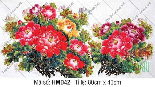 Hình Hoa Mẫu Đơn Đẹp Nhất HMD42, Tranh Hoa Mẫu Đơn