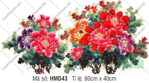 Hình Hoa Mẫu Đơn May Mắn HMD43, Tranh Hoa Mẫu Đơn