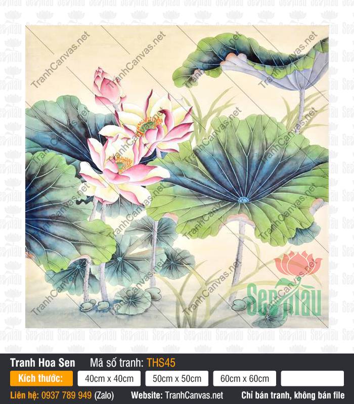 Hình Ảnh Hoa Sen Cực Đẹp THS45, Tranh Hoa Sen Đẹp, In Tranh Canvas Khổ Lớn