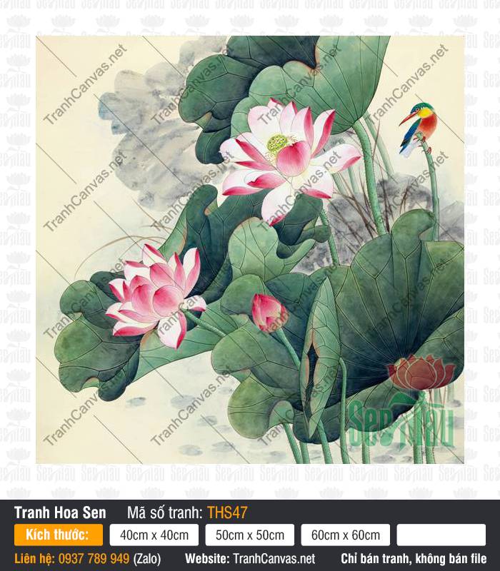 Hình Ảnh Hoa Sen Đẹp Nhất THS47, Tranh Hoa Sen Lớn, Tranh Hoa Sen, In Tranh Canvas TPHCM