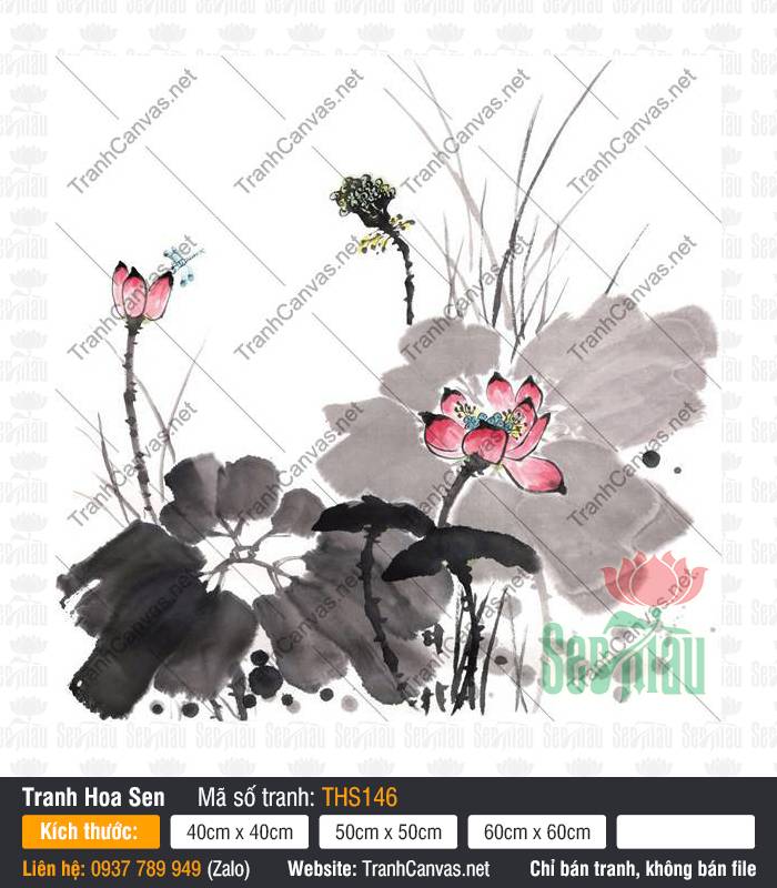Hình Ảnh Hoa Sen Đẹp THS146, Tranh Hoa Sen Canvas, Tranh Hoa Sen, Tranh Trên Vải Canvas