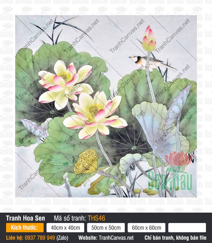 Hình Ảnh Hoa Sen Đẹp THS46, Tranh Hoa Sen Đẹp Nhất, Tranh Hoa Sen, In Tranh Canvas Sài Gòn