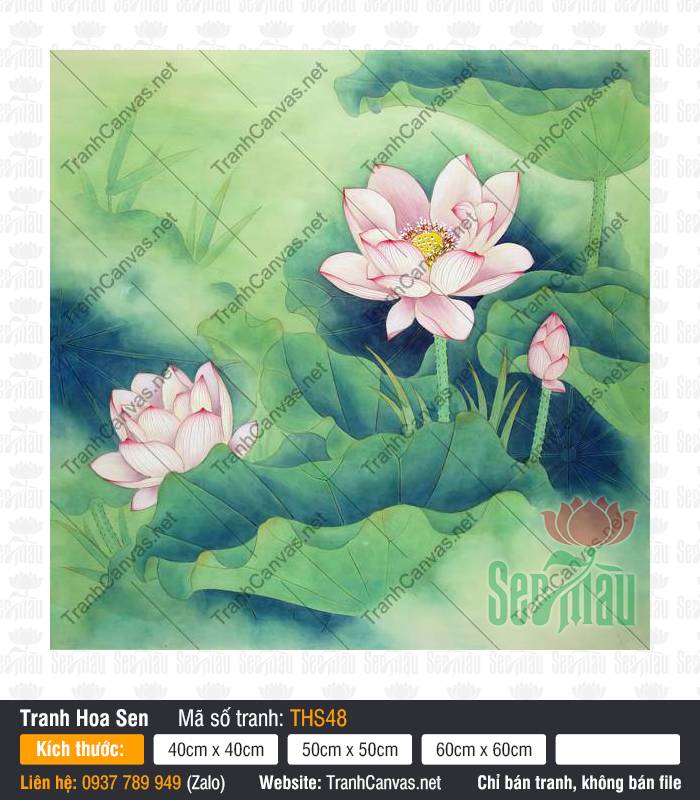 Hình Ảnh Hoa Sen Siêu Đẹp THS48, Bức Tranh Hoa Sen, Tranh Hoa Sen, In Tranh Canvas Theo Yêu Cầu
