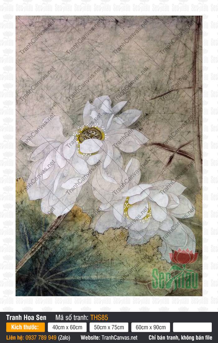 Hình Ảnh Hoa Sen Trắng Đẹp THS85, Tranh Hoa Sen, Tranh Canvas Treo Tường Phòng Khách