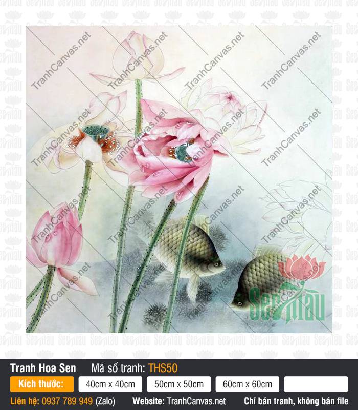 Hình Ảnh Hoa Sen Trang Trí THS50, Tranh Hoa Sen Đẹp, In Tranh Canvas Treo Tường