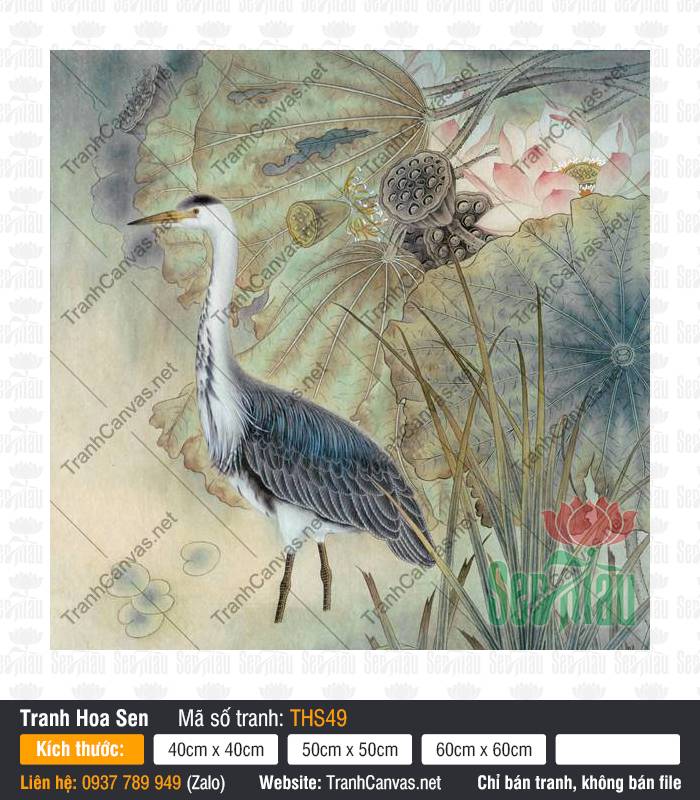 Hình Ảnh Hoa Sen Tuyệt Đẹp THS49, Tranh Hoa Sen, In Tranh Canvas Theo Yêu Cầu HCM