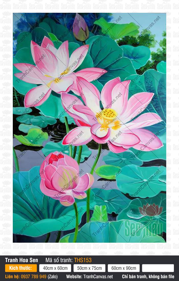 Hình Ảnh Hoa Sen Việt Nam THS153, Tranh In Hoa Sen, Tranh Hoa Sen, Dịch Vụ In Tranh Canvas
