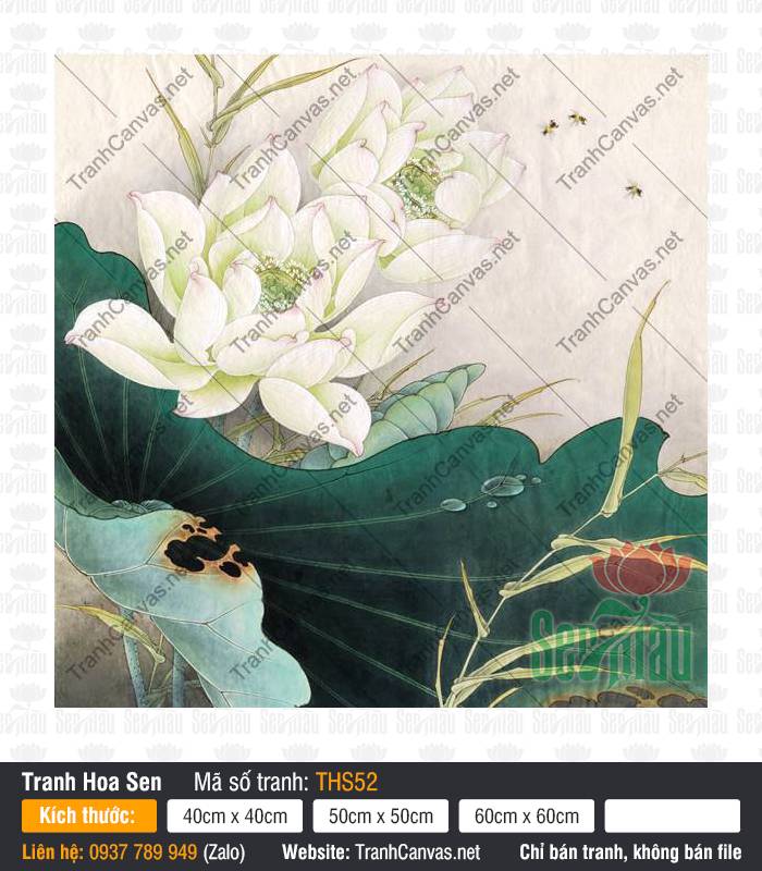Hình Bông Hoa Sen Đẹp THS52, Tranh Hoa Sen Canvas, Tranh Hoa Sen, In Tranh Lên Canvas
