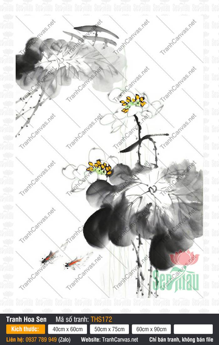 Hình Hoa Sen Đẹp Nhất THS172, Tranh Hình Hoa Sen, Tranh Hoa Sen, Tranh Canvas