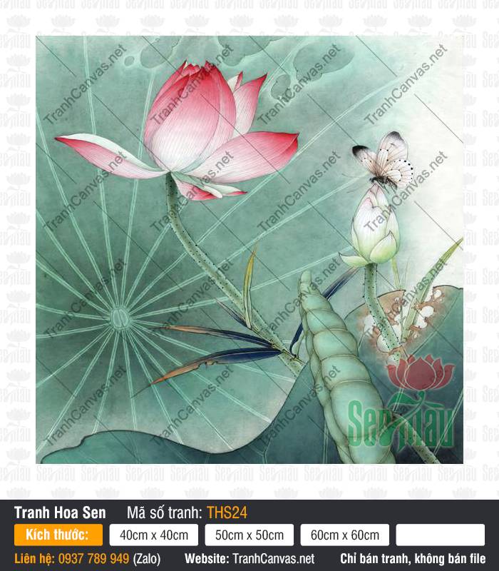 Hình Hoa Sen Đẹp Nhất THS24, Hình Hoa Sen Siêu Đẹp, Tranh Hoa Sen, Tranh Canvas Treo Phòng Khách