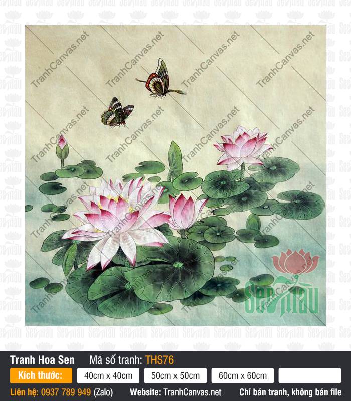 Hình Hoa Sen Đẹp Nhất THS76, Tranh Hoa Sen Khổ Lớn, Tranh Hoa Sen, Tranh Canvas Không Khung