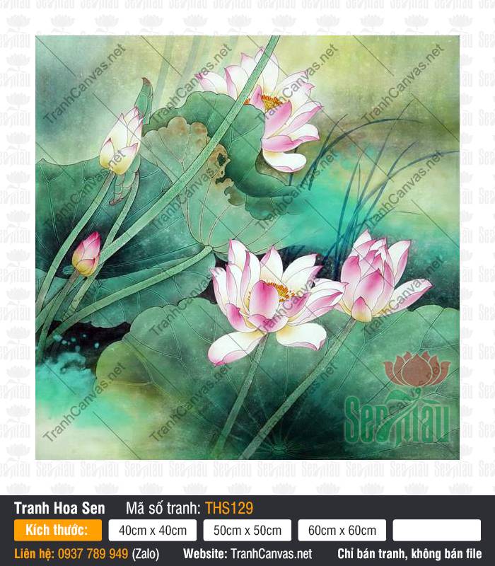 Hình Hoa Sen Đẹp THS129, Tranh Hoa Sen Phòng Khách, Tranh Hoa Sen, Tranh Vải Canvas