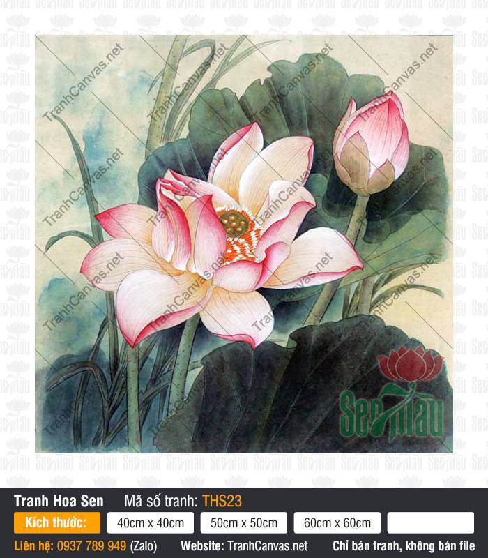 Hình Hoa Sen Đẹp THS23, Hình Hoa Sen Trang Trí, Tranh Hoa Sen, Tranh Canvas Trang Trí Phòng Khách