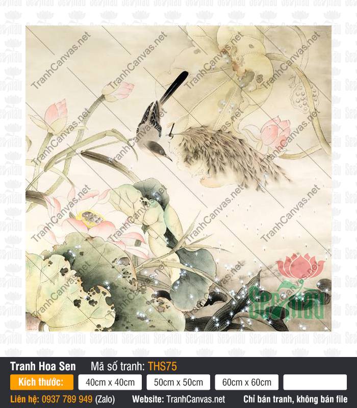 Hình Hoa Sen Đẹp THS75, Tranh Hoa Sen Nghệ Thuật, Tranh Hoa Sen, Tranh Canvas Decor