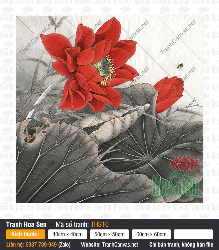 Hình Hoa Sen Đỏ THS10, Tranh Hoa Sen Canvas, Tranh Hoa Sen, Tranh Canvas Phong Thủy