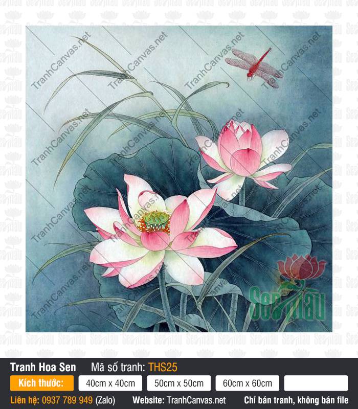 Hình Hoa Sen Nghệ Thuật THS25, Hình Vẽ Hoa Sen Đẹp, Tranh Hoa Sen, Tranh Canvas Treo Phòng Làm Việc
