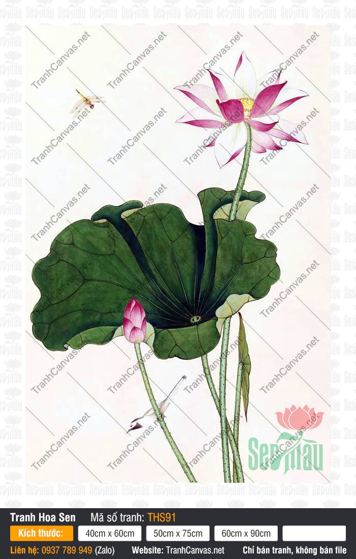 Hình Hoa Sen Siêu Đẹp THS91, Tranh Hoa Sen Canvas, Tranh Hoa Sen, Xưởng In Tranh Canvas