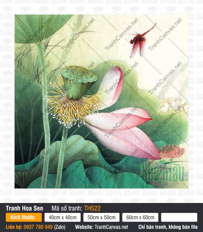Hình Hoa Sen THS22, Hoa Sen Nghệ Thuật, Tranh Hoa Sen, Tranh Canvas Trang Trí Nội Thất