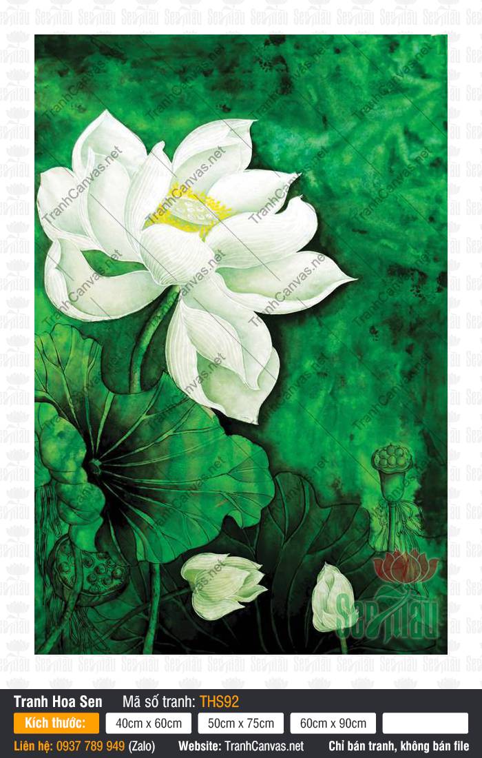 Hình Hoa Sen Trắng THS92, Tranh Hoa Sen Phong Thủy, Tranh Hoa Sen, Xưởng In Tranh Canvas TPHCM