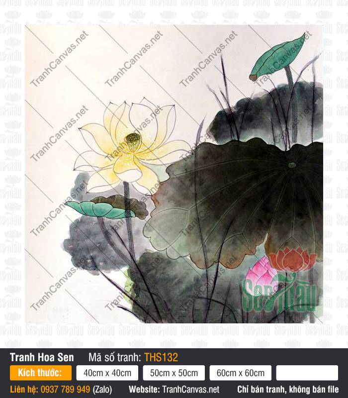 Hình Hoa Sen Trang Trí THS132, Tranh Hoa Sen Đẹp, Tranh Hoa Sen, Tranh Canvas Decor