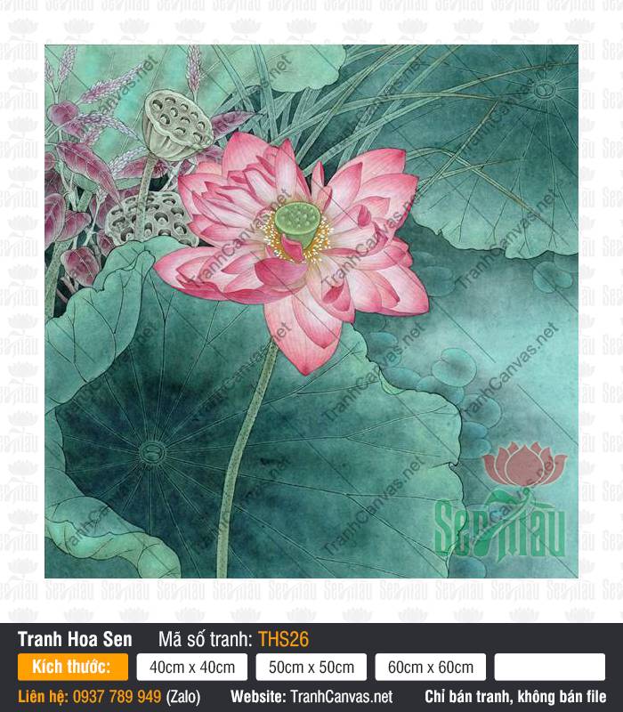 Hình Hoa Sen Trang Trí THS26, Hình Hoa Sen May Mắn, Tranh Hoa Sen, Tranh Canvas Treo Phòng Ngủ