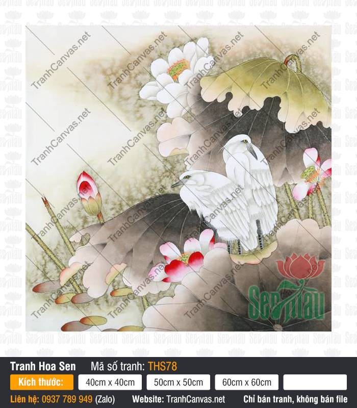 Hình Hoa Sen Trang Trí THS78, Tranh Hình Hoa Sen, Tranh Hoa Sen, Tranh Canvas Trang Trí