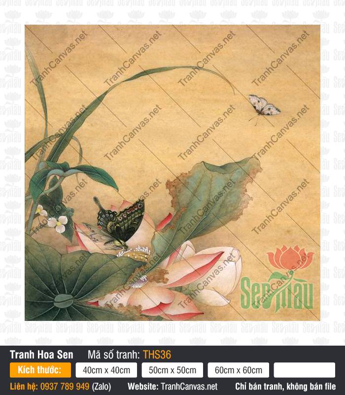 Hình Vẽ Hoa Sen Đẹp Nhất THS36, Tranh Hình Hoa Sen, Tranh Hoa Sen, Xưởng In Tranh Đẹp