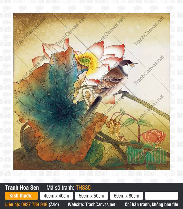 Hình Vẽ Hoa Sen Đẹp THS35, Hình Ảnh Hoa Sen Cực Đẹp, Tranh Hoa Sen, Xưởng In Tranh Canvas TPHCM