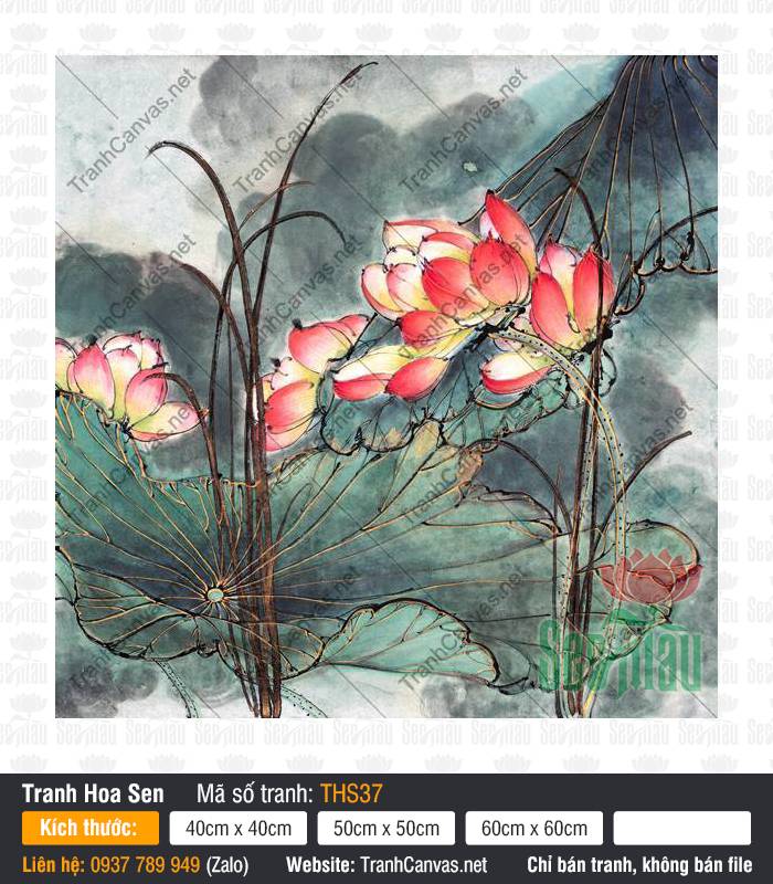 Mẫu Hình Hoa Sen Đẹp THS37, Tranh Hoa Sen, Xưởng Tranh Canvas