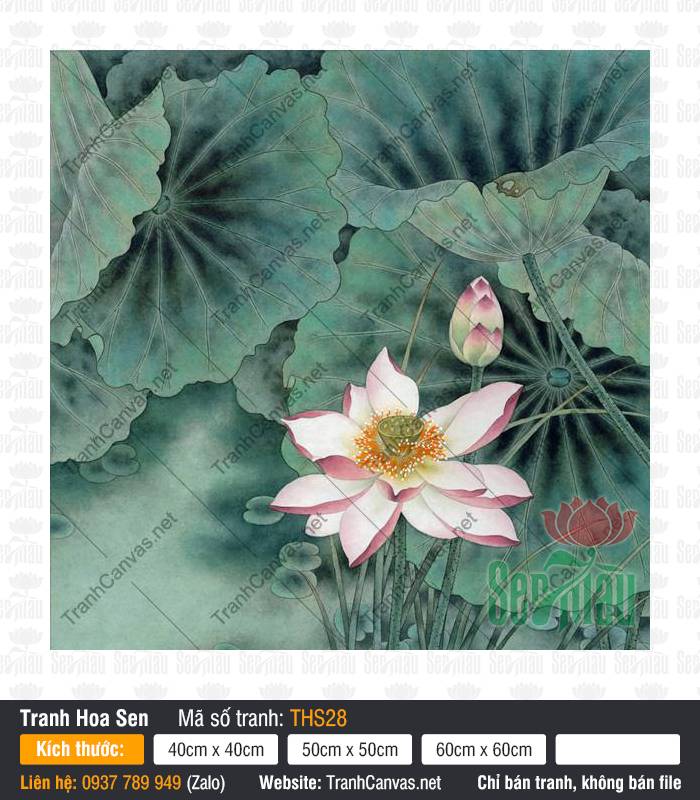 Mẫu Tranh Hoa Sen Đẹp THS28, Hình Hoa Sen Siêu Đẹp, Tranh Hoa Sen, Tranh Canvas Treo Tường Phòng Khách