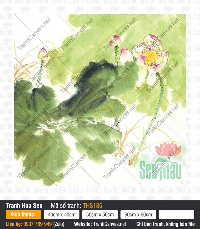 Những Bức Tranh Hoa Sen Đẹp Nhất THS135, Tranh Hoa Sen, Tranh Canvas Trang Trí