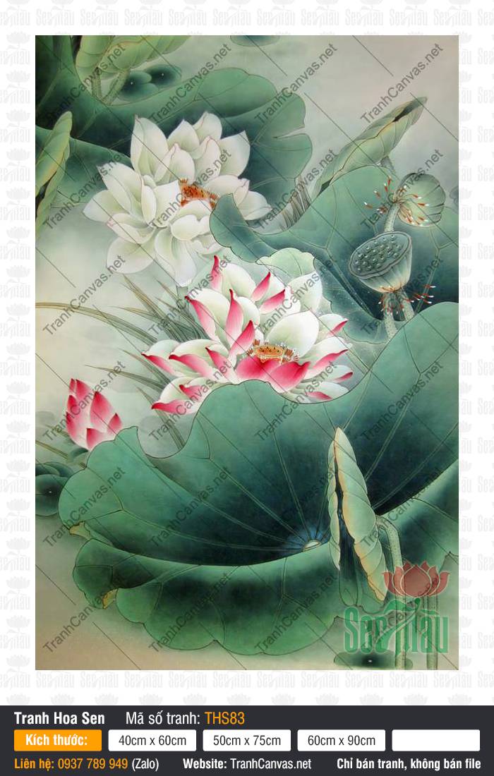 Những Bức Tranh Hoa Sen Đẹp Nhất THS83, Tranh Hoa Sen, Tranh Canvas Treo Phòng Ngủ