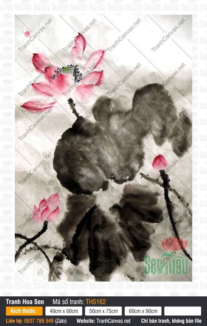 Tranh Hình Hoa Sen THS162, Hình Hoa Sen Nghệ Thuật, Tranh Hoa Sen, In Tranh Canvas Theo Yêu Cầu