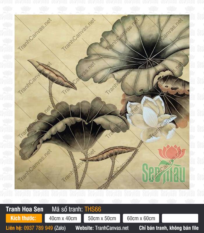 Tranh Hình Hoa Sen THS66, Hình Ảnh Hoa Sen Cực Đẹp, Tranh Hoa Sen, Tranh Canvas Phòng Ngủ